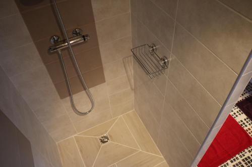 une salle de bain avec une douche avec une porte vitrée dans l'établissement Le petite écurie, à Saint-Georges-de-Bohon