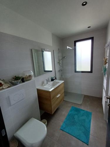 une salle de bain avec un lavabo, des toilettes et une douche dans l'établissement Tipia Legarrea, à Mouguerre