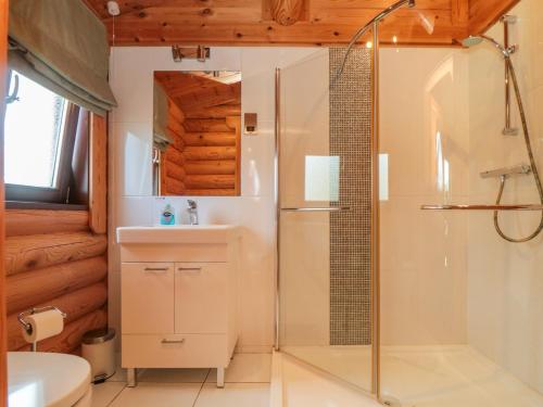 a bathroom with a shower and a sink at Roseberry Lodge 3 in Middlesbrough