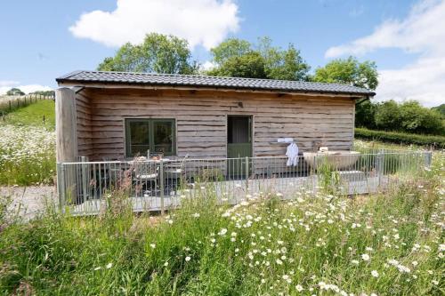 a small wooden cabin in a field of flowers at Birch Banc Retreats - Glyn-Haul, New Enc Decking in Llanidloes