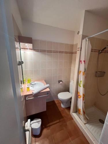 Un baño con inodoro, lavabo y ducha. en Vistamare Locations avec Piscine saint florent, en Saint-Florent