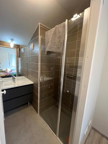 une salle de bain avec une douche en verre et un lavabo dans l'établissement Appartement au Golf Barcelonnette, à Barcelonnette