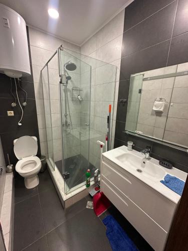 a bathroom with a shower and a toilet and a sink at Bakva's apartment in Batumi