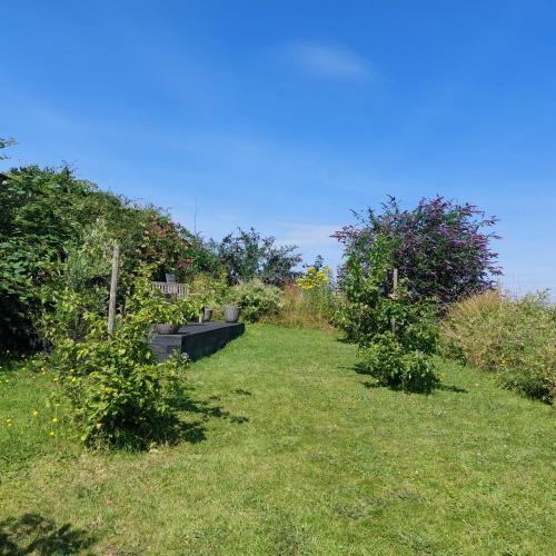 a garden with some plants and some bushes at The Old Court House Guest House in Ross on Wye