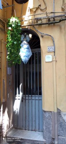 an entrance to a building with a door with a gate at Akihome Portanova in Naples
