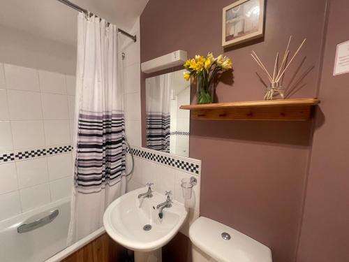 a bathroom with a sink and a toilet and a shower at Pretty Cottage in peaceful village location - Easy Commute To Cambridge in Cambridge