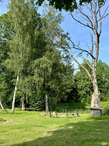 a group of birds in a park with trees at PLŪSME Restart House in Lielstraupe