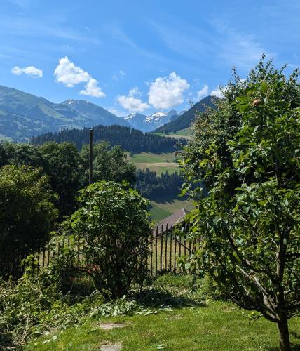 a fence and trees with mountains in the background at Swiss Mountain-Valley View Lodge in Erlenbach im Simmental