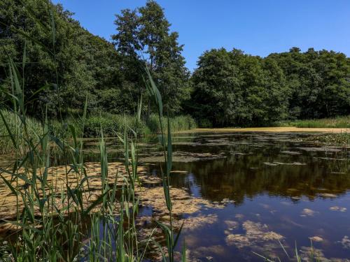 a view of a river with trees in the background at The Grain Store in Norwich