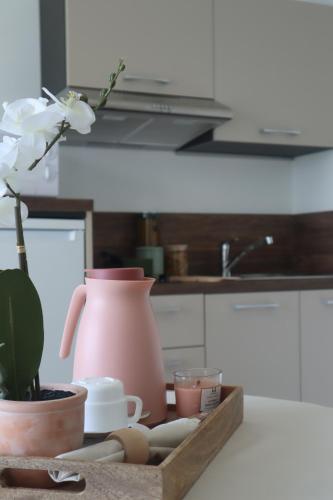 a tray with a vase and a plant in a kitchen at Résidence Services Oh Activ Avignon in Avignon