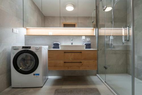 a bathroom with a washing machine and a sink at DaSus Luxury Tále in Tale