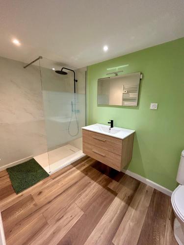 une salle de bain verte avec un lavabo et une douche dans l'établissement Gîte du mas Jubilé, à Mons