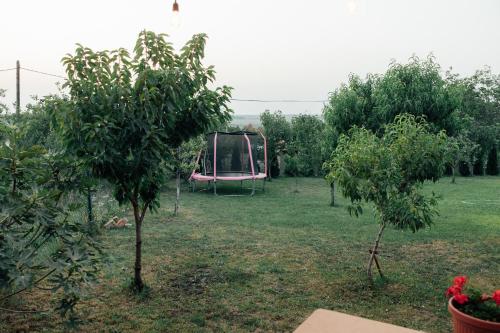 an apple orchard with a swing set in a field at Šapat Vetra vikendica in Vršac