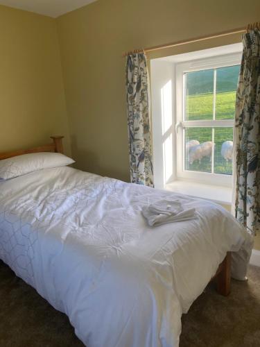 a bedroom with a white bed and a window at Farm Cottage in Clonakilty in Clonakilty