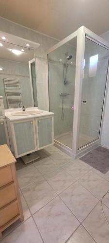 une salle de bain avec douche et lavabo dans l'établissement La Pampa, à Mimizan