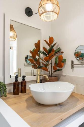 La salle de bains est pourvue d'un lavabo et d'une plante sur un comptoir. dans l'établissement Beau T2 -Terrasse- Central- Bord de mer 50m - CLIM, à La Ciotat