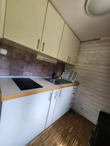 a small kitchen with white cabinets and a sink at WoodHouse by the River in Nazarje