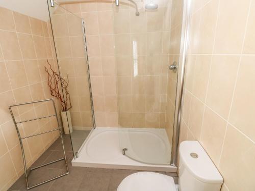 a bathroom with a shower and a toilet at Archway House in Haverfordwest
