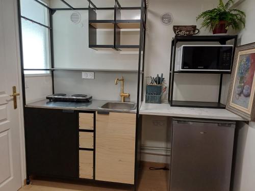 une petite cuisine avec un évier et un micro-ondes dans l'établissement Paris with added zen, à Bry-sur-Marne