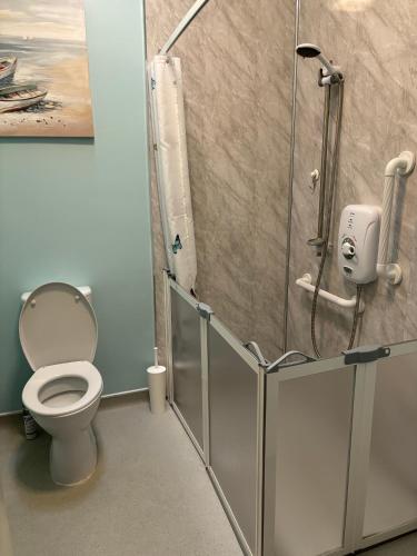 a bathroom with a toilet and a shower stall at Martha's Cottage in Donaghcloney