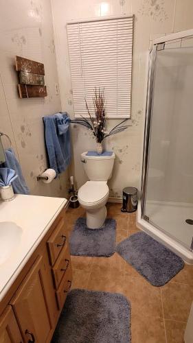a bathroom with a toilet and a shower at Classic Charm Close To Lake in Canyon Lake