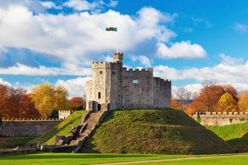 a castle with a flag on top of a hill at Lime Cottage in Mountain Ash