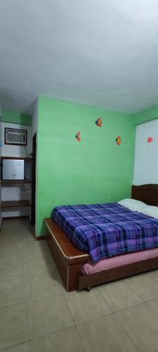 a bedroom with a bed and a green wall at Buzios Posada in Chichiriviche