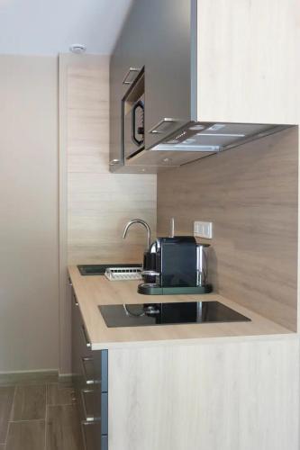 une cuisine avec un évier et un micro-ondes dans l'établissement Aux cerisiers Olivet, à Olivet