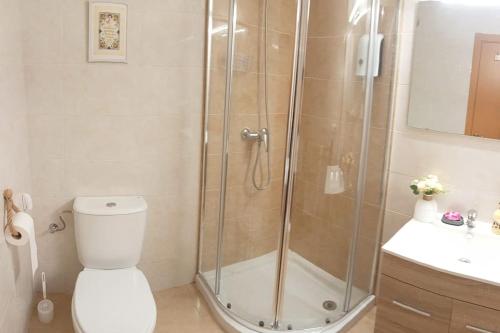 un bagno con doccia, wc e lavandino di El descanso de las hadas a San Leonardo de Yagüe