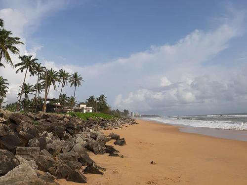a beach with rocks and palm trees and the ocean at Kanav homestay in Kannur