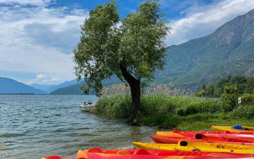 a tree and a bunch of kayaks in the water at Dascio Silence Ferienwohnung mit Panorama Balkon in Dascio