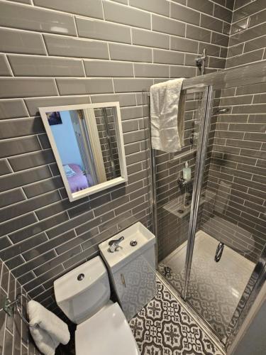 a bathroom with a toilet and a mirror and a sink at Shop Street Apartment in Galway