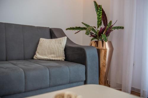 Gallery image of Cataleya Resort in Ulcinj
