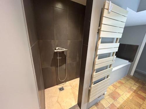 La salle de bains est pourvue d'une douche avec une échelle. dans l'établissement Loft cosy - 2 chambres - Vieux Lyon, à Lyon