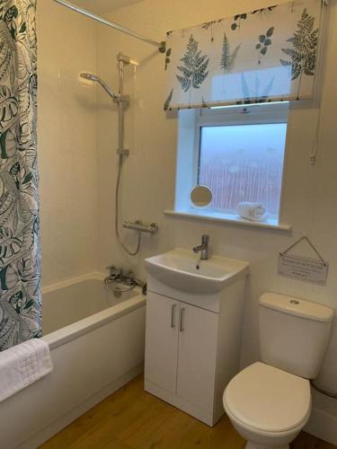 a bathroom with a toilet and a sink and a shower at Modern, Stylish lodge with Paddock Views in Sandwich