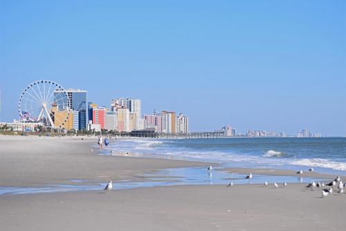 a beach with birds on the sand and a ferris wheel at Holiday Sands North "On the Boardwalk" in Myrtle Beach