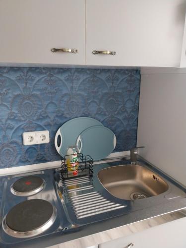 a kitchen sink with a toy next to a sink at Ferienwohnung Rosi in Naumburg