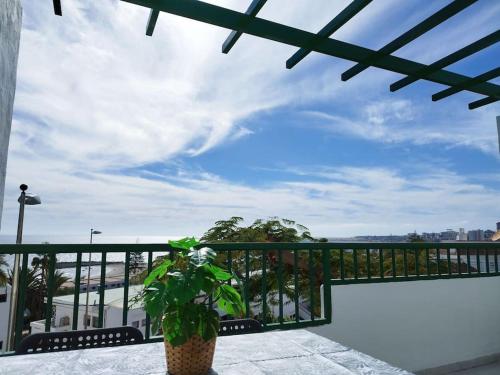 a plant in a pot sitting on a balcony at Flamboyán Vista Mar in Maspalomas