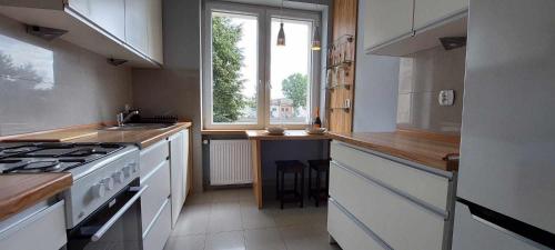 kuchnia z kuchenką, umywalką i oknem w obiekcie Baltic Sands Apartment w Gdańsku