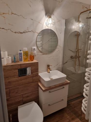 un baño con lavabo y espejo en Apartament GABI, en Świdnica