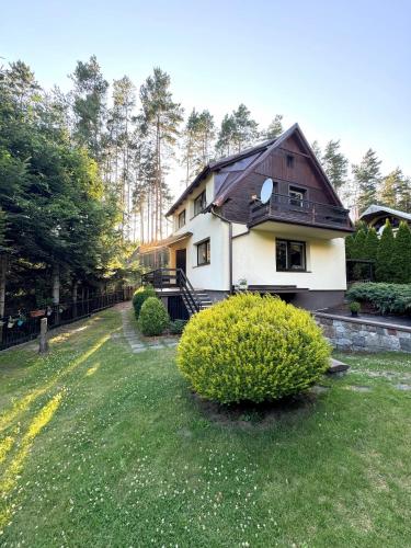 a house with a green yard with bushes and trees at Domek nad Jeziorem Trzechowskim w lesie letniskowy na wsi in Iwiczno