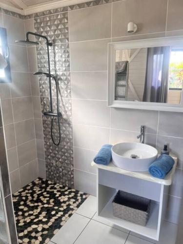 a bathroom with a sink and a shower at Petit bungalow Chez Angelo in Terre-de-Haut