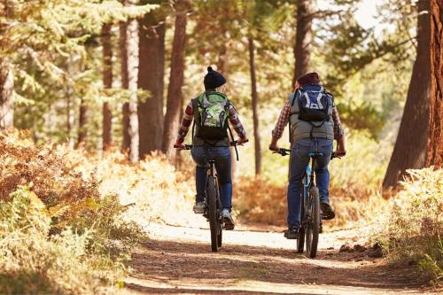 two people riding bikes on a trail in the woods at Le Casine di Tuscany Maremma Saturnia in Catabbio