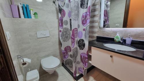 ザーレにあるApartment in Zahle - Breathtaking Viewのトイレ、洗面台、鏡を備えたバスルーム