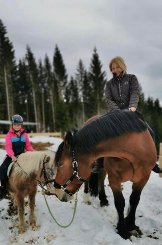 a woman sitting on top of a horse in the snow at Schell-Hütte in Preitenegg