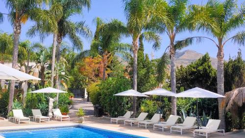 Finca La Vida Loca- For adult guests