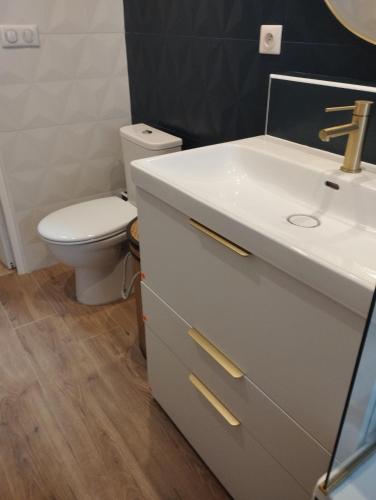 une salle de bain avec un lavabo blanc et des toilettes dans l'établissement Charmante maison dans village, à Retheuil