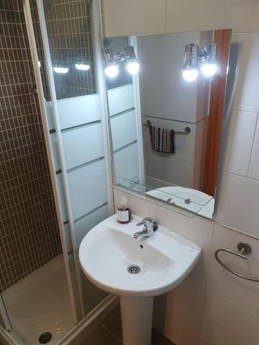 a bathroom with a sink and a shower and a mirror at Bj D Aire Acond 4 huésp WIFI in La Línea de la Concepción