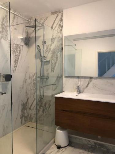 une salle de bain avec une douche en verre et un lavabo dans l'établissement Hypercentre Trouville top maison 2 à 6 personnes, à Trouville-sur-Mer