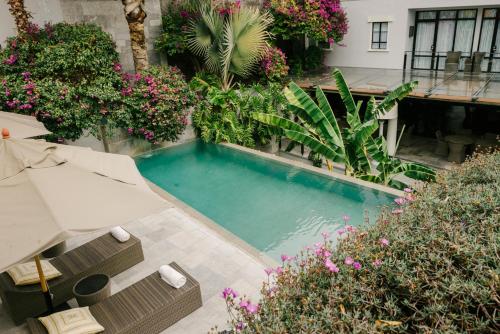 an overhead view of a swimming pool in a garden at Hotel Matilda, a Member of Design Hotels in San Miguel de Allende